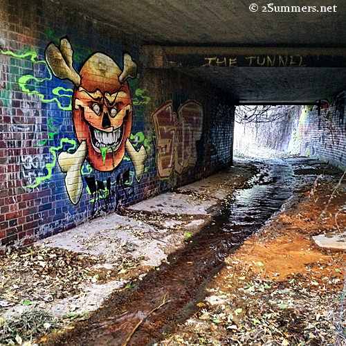 The tunnel