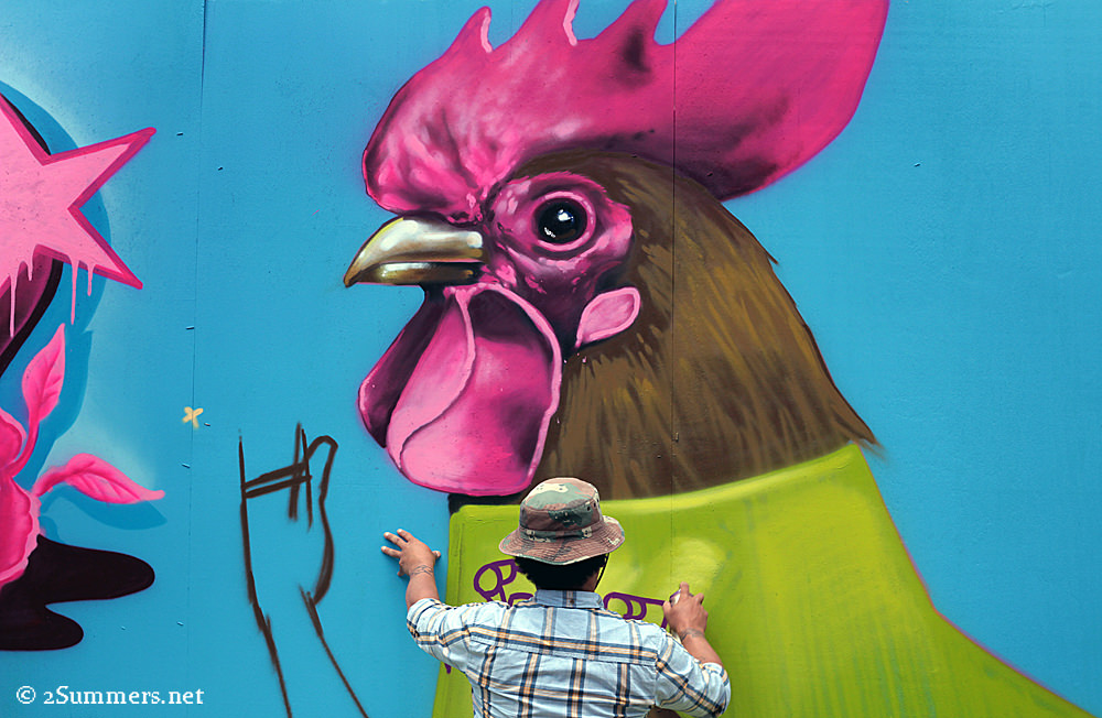 Falko chicken