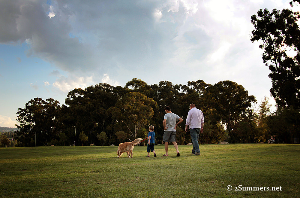Dog-walkers
