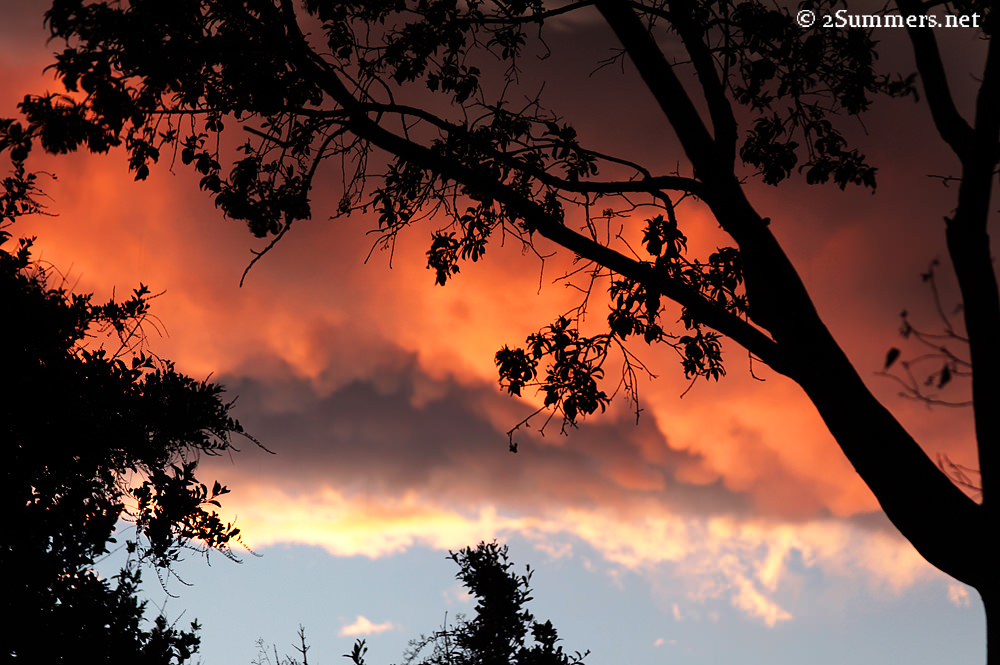clouds and sunset