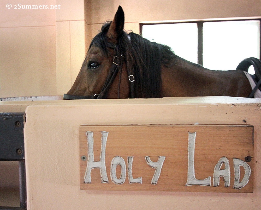 Holy Lad