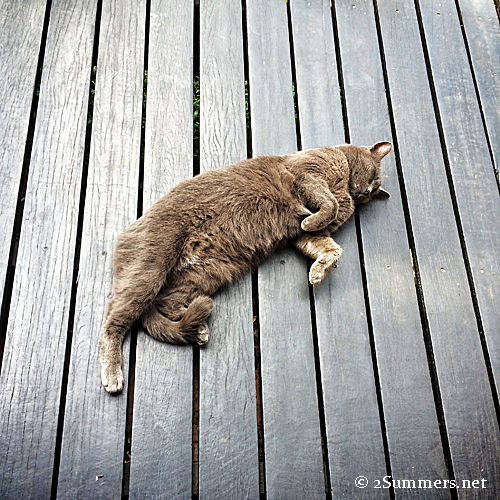 TMC sleeping