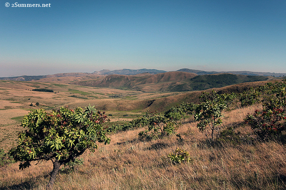 Nyangani foothills