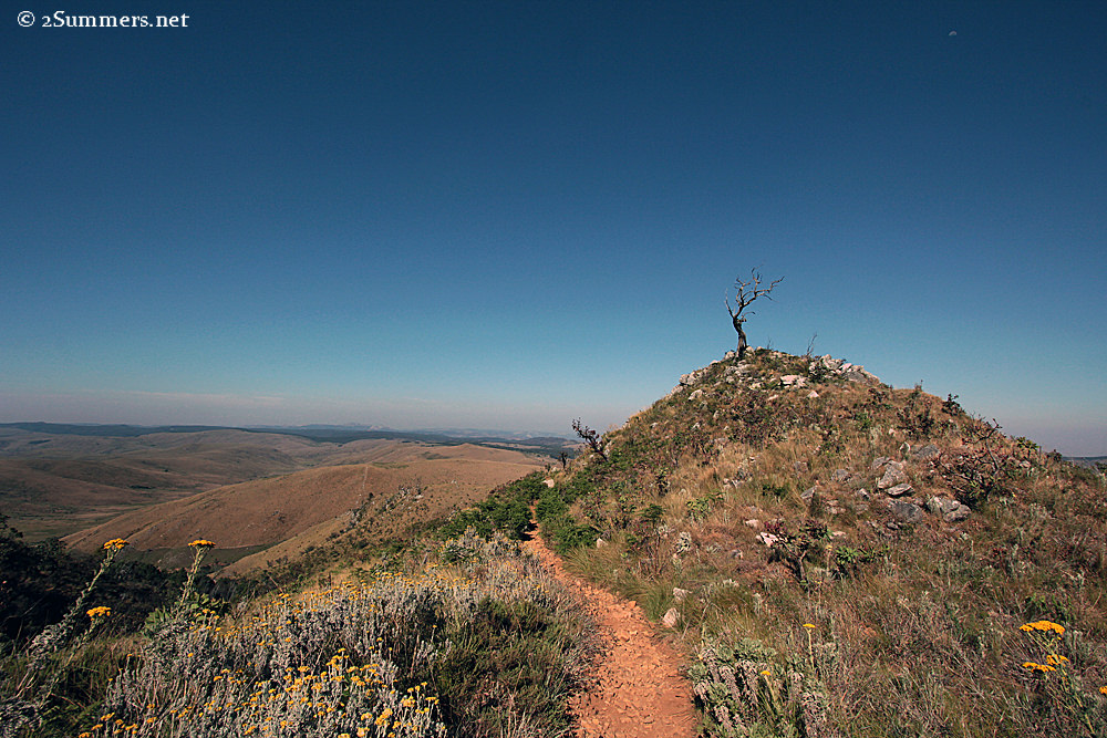 Nyangani foothills2
