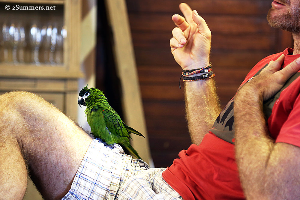 Kulula on leg