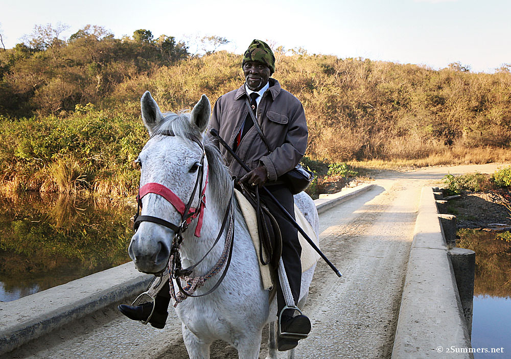 Pastor-and-horse