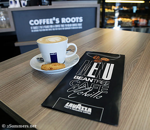 Bean-Tree-coffee