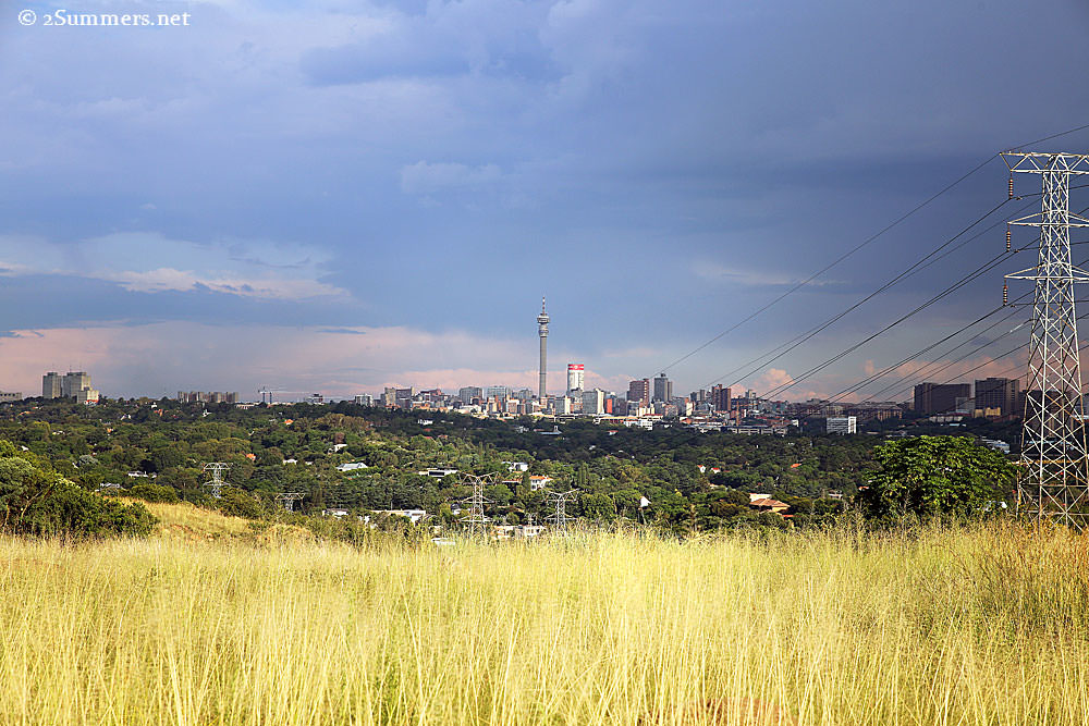 Koppies-in-summer