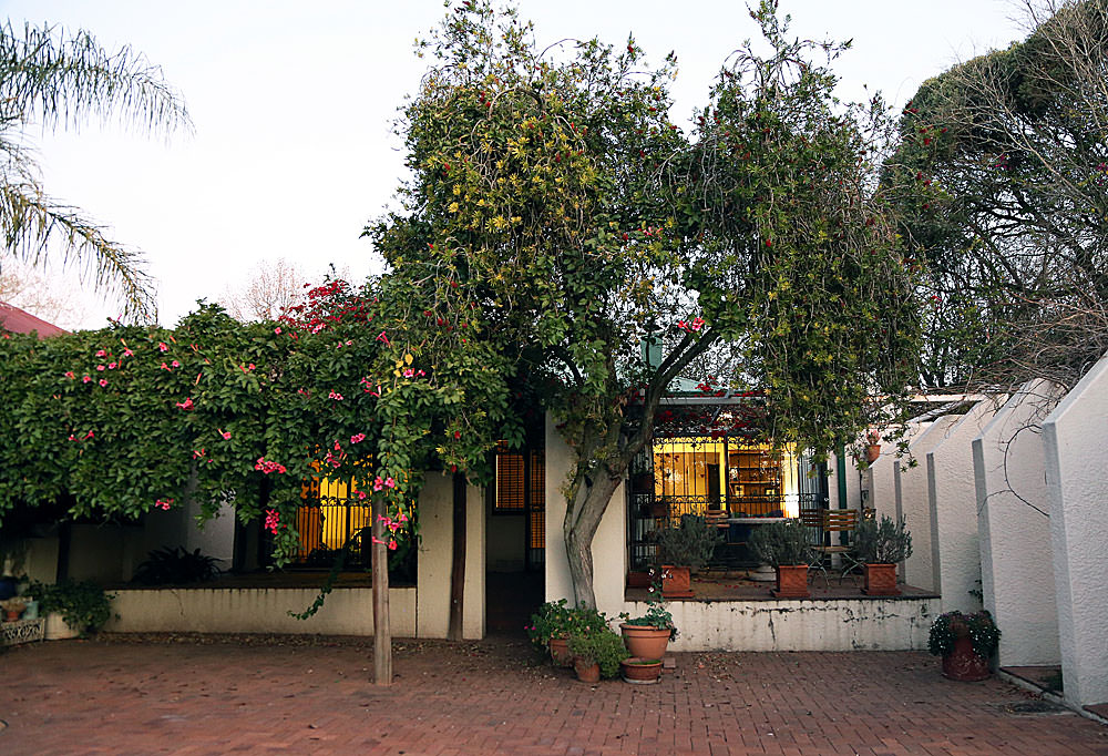 New-house-garden
