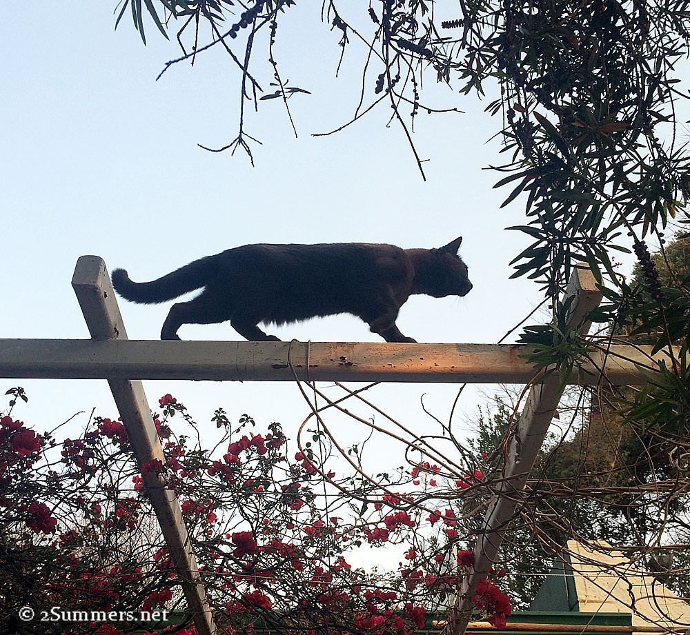 Smokey-balancing