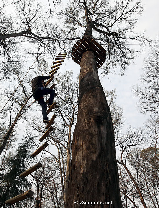 Acrobranch-climb