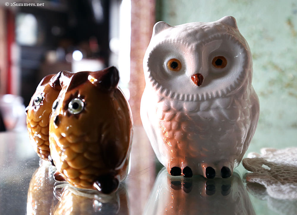 Owls1