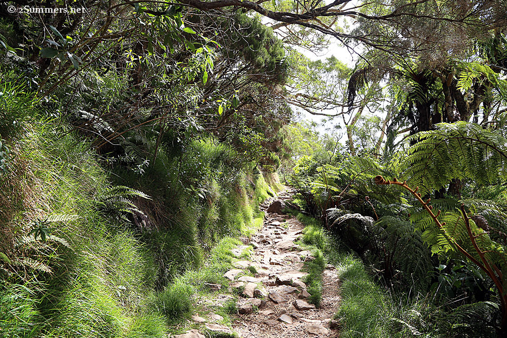 02-Hiking-path