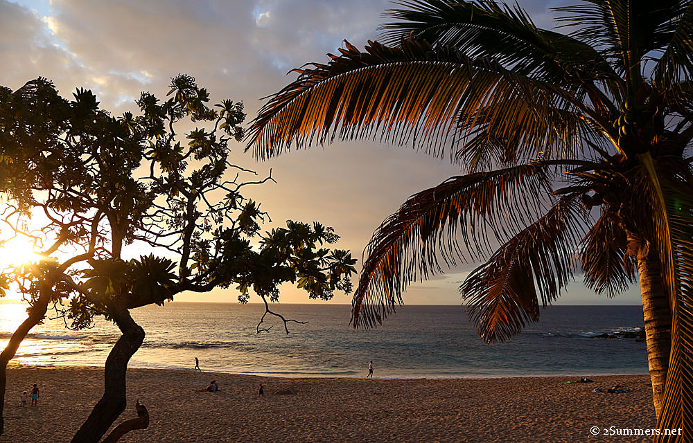Sunset-and-trees