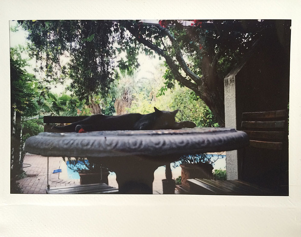 Smokey-Instax-fail2
