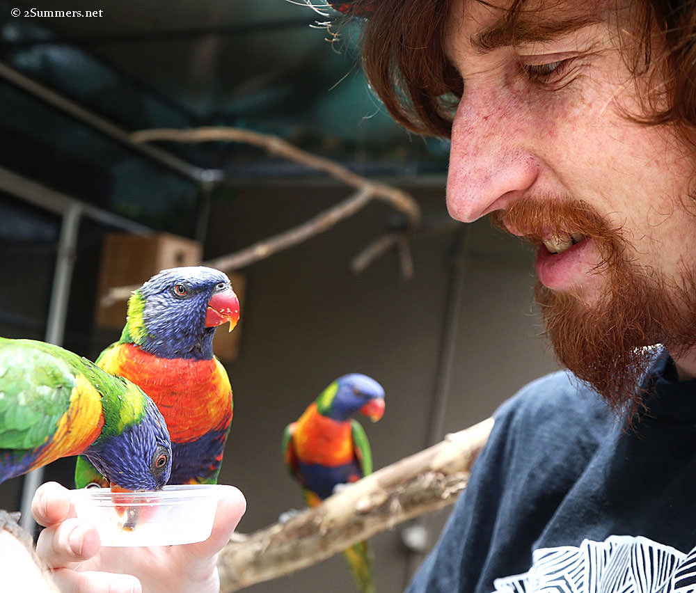 Ray-at-bird-park