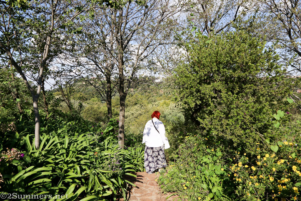 Walking through the Wilds