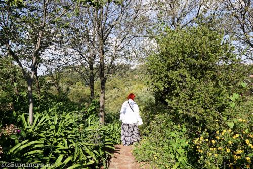the wilds Johannesburg
