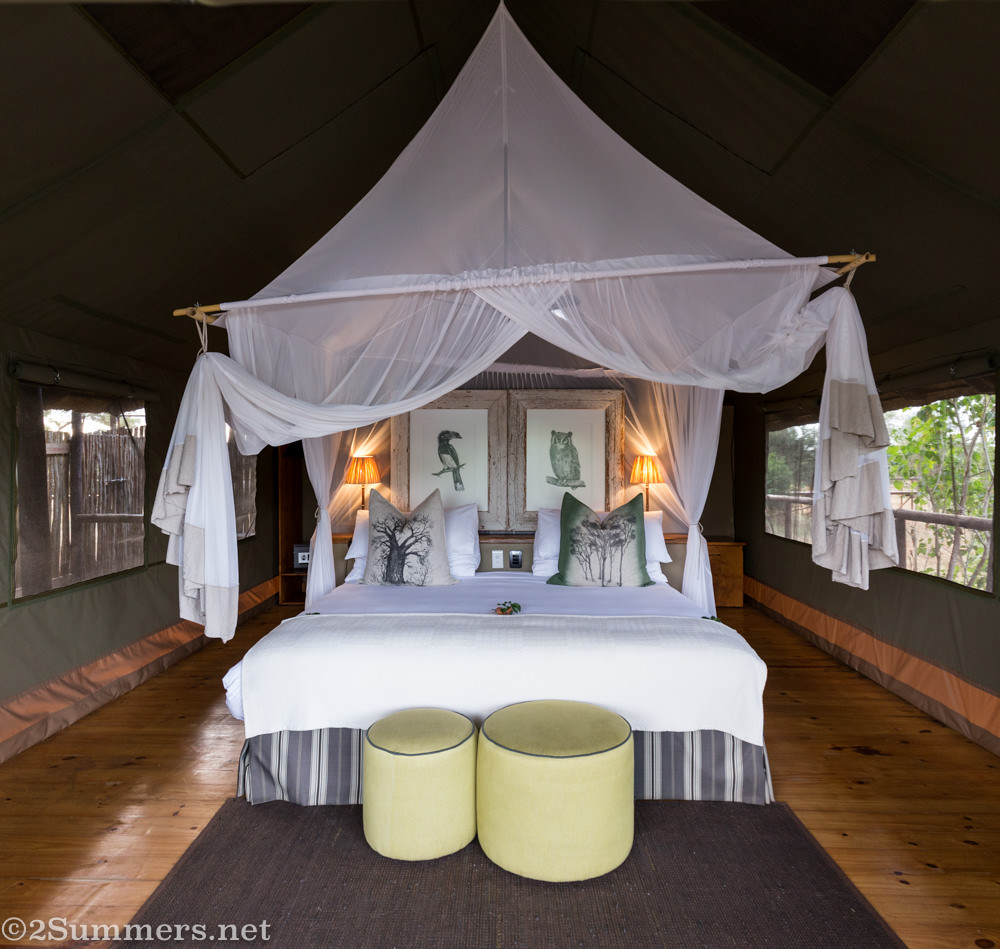 Inside Pafuri tent