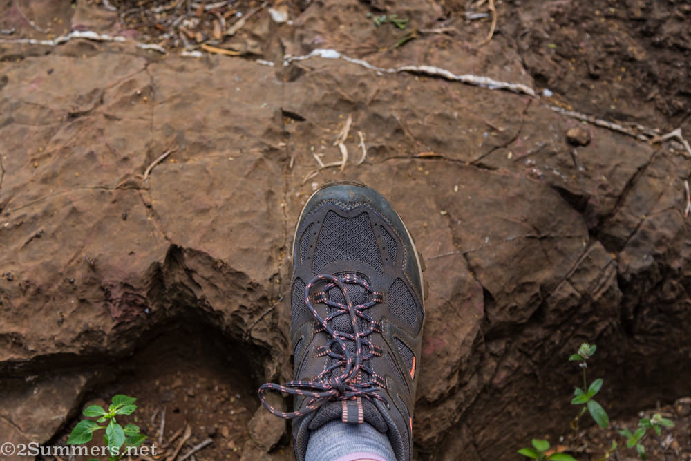Hi-Tec shoes
