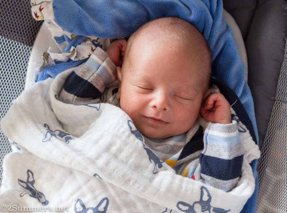 Baby Jack