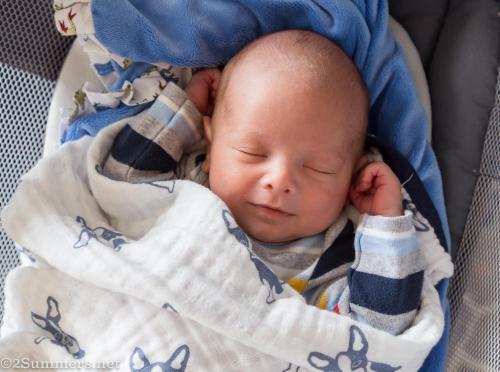 Baby Jack
