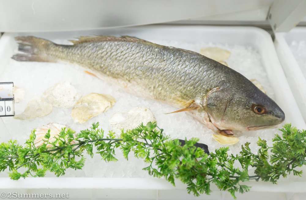 Fresh sea bass from La Marina