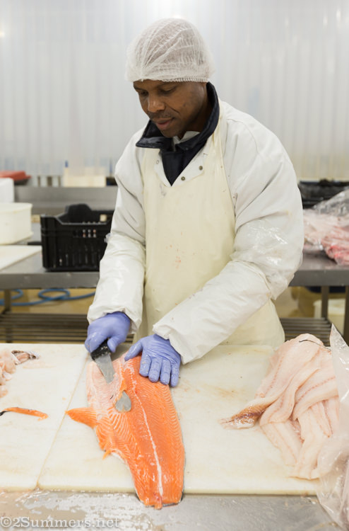 Salmon fillet