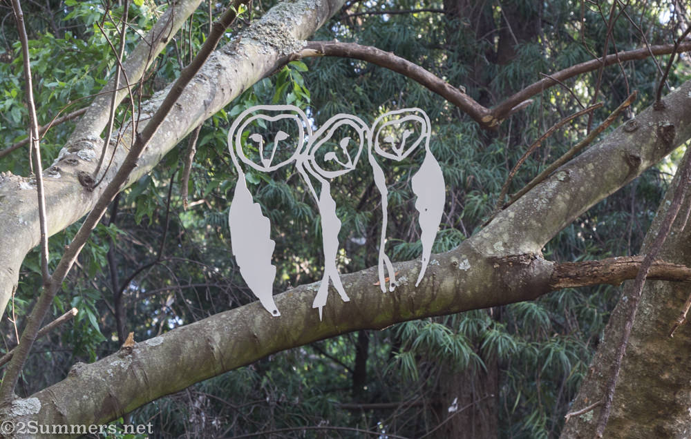 Owls in the Wilds
