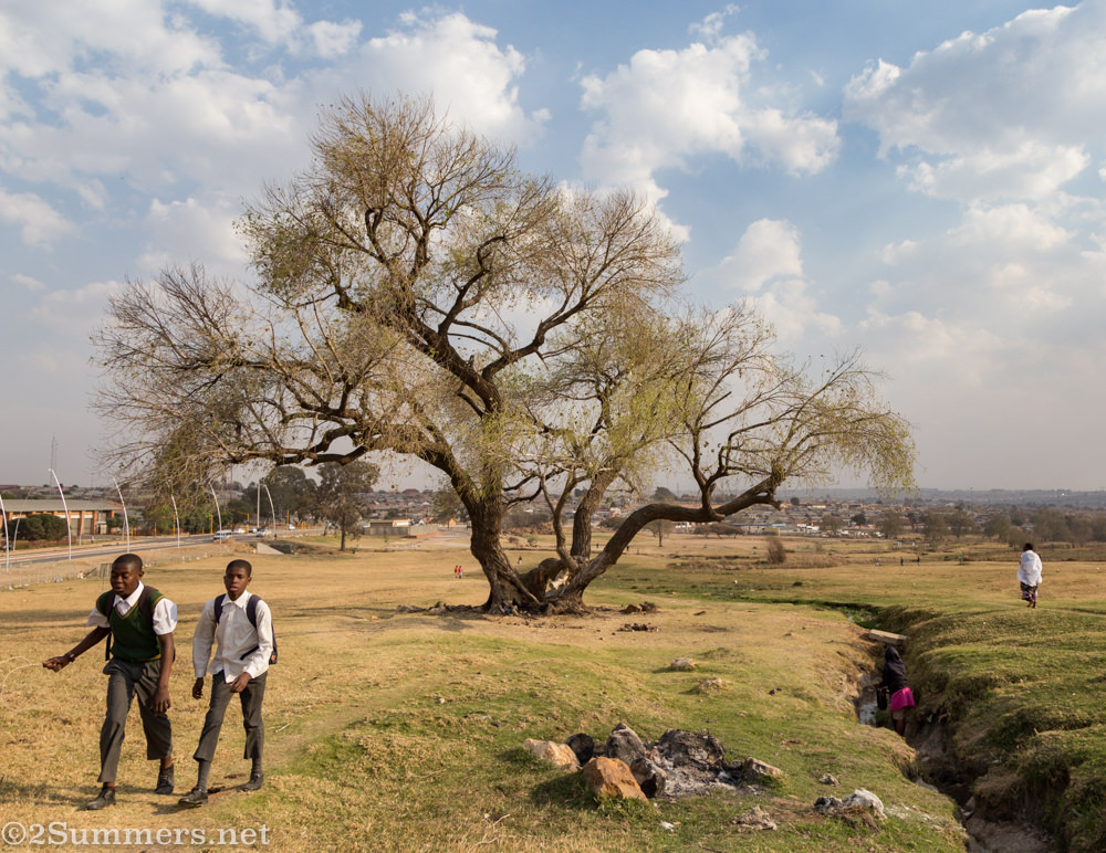 Tembisa field