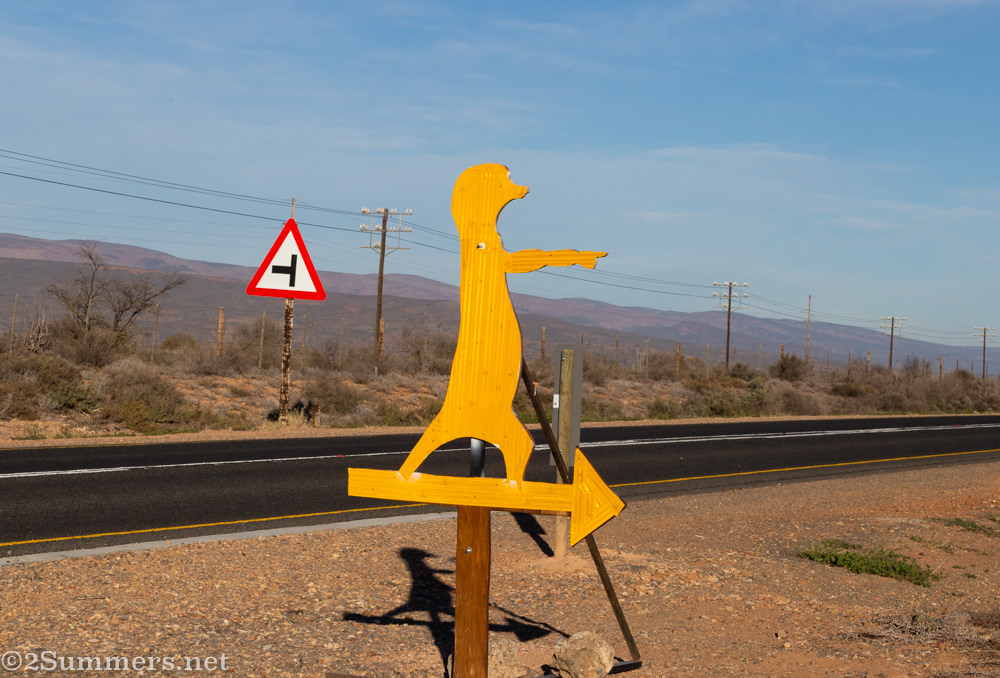 Five Shy Meerkats entrance