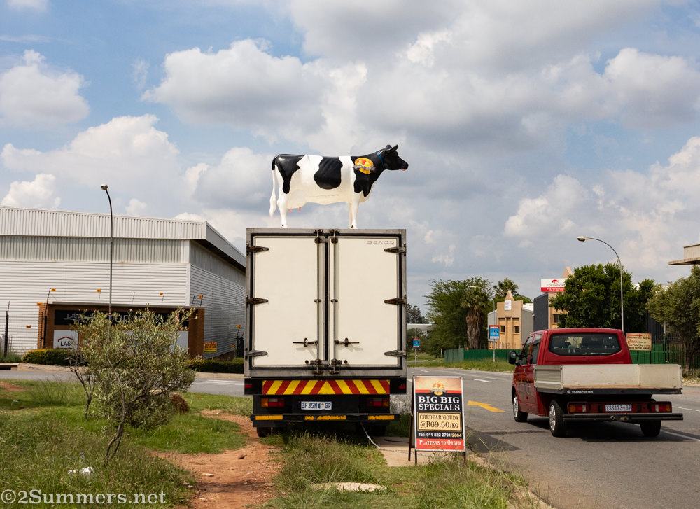 Global Cheese cow
