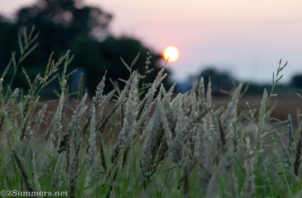 Sunrise in Kameel