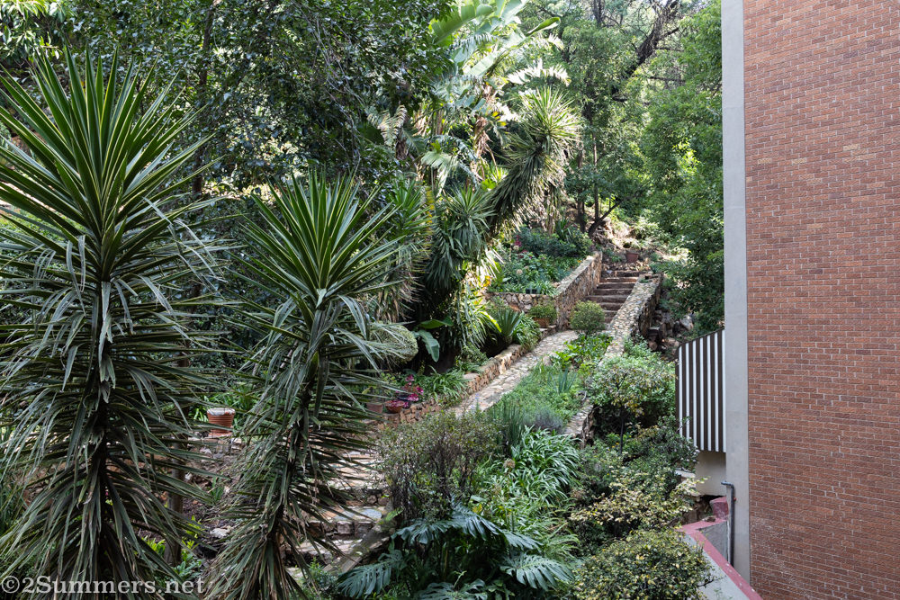 Killarney garden