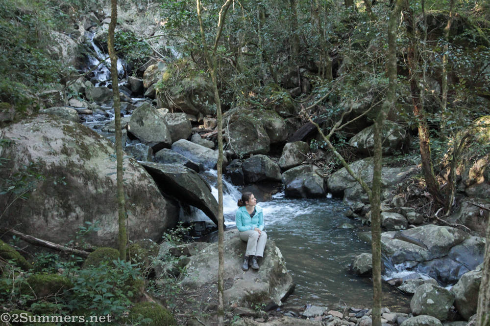Heather in Hogsback