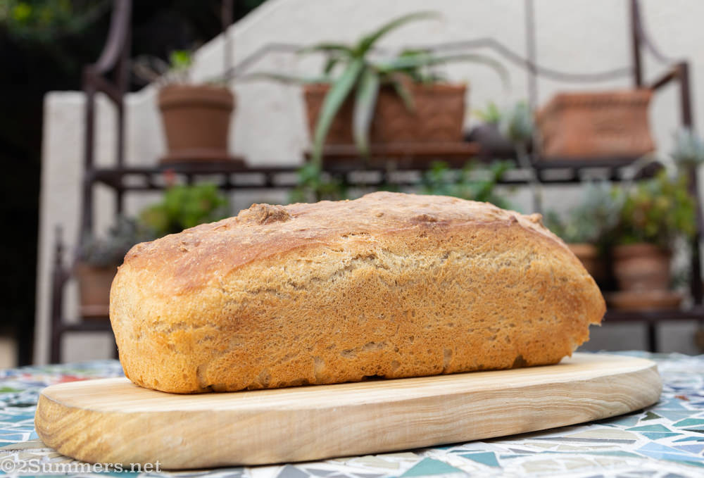Bread