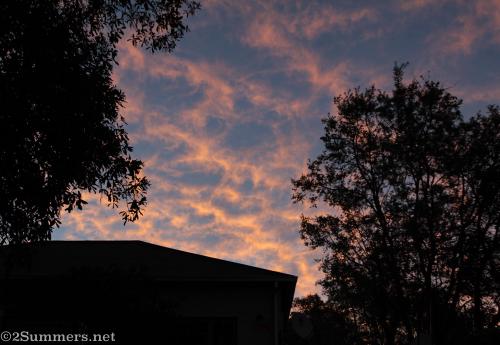 Winter sunset