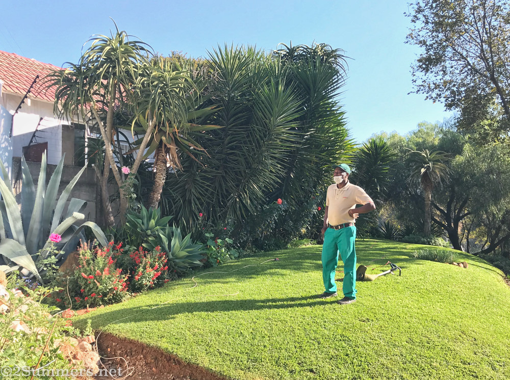 Lucky in the garden