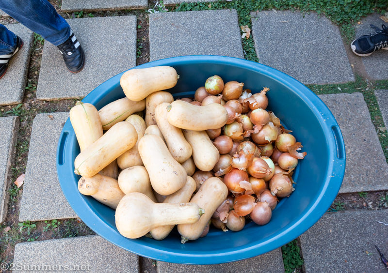 Veggies