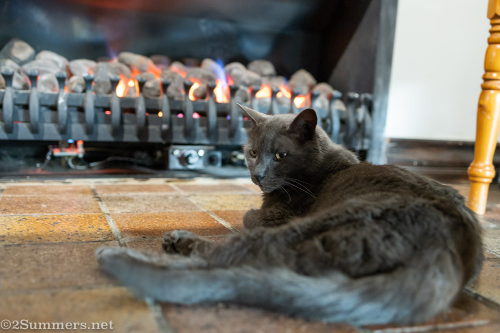 Smokey at the fire