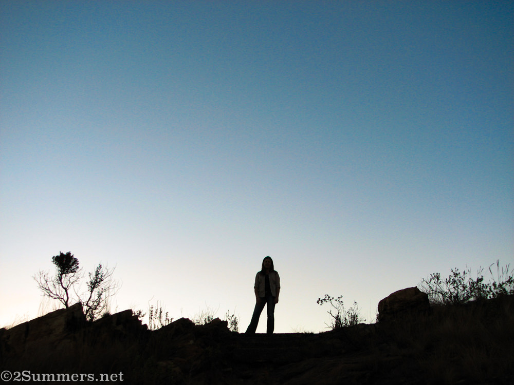 Heather on Koppies