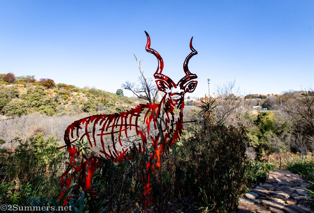 Kudu in the Wilds