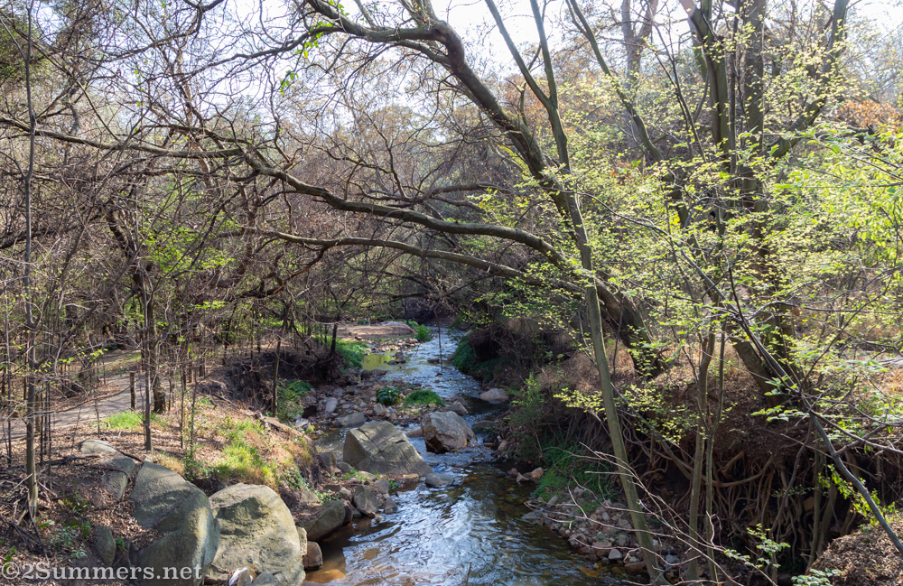 Westdene Spruit