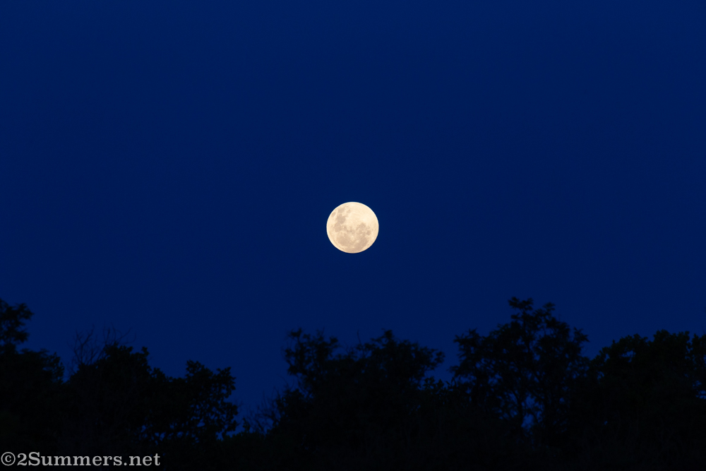 Full moon