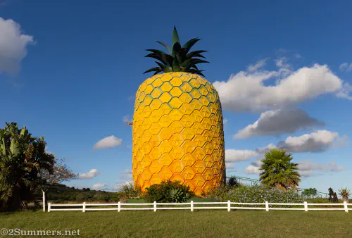 The Big Pineapple in Bathurst, Eastern Cape