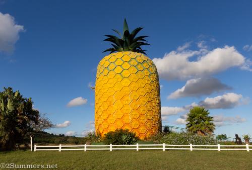 The Big Pineapple in Bathurst, Eastern Cape