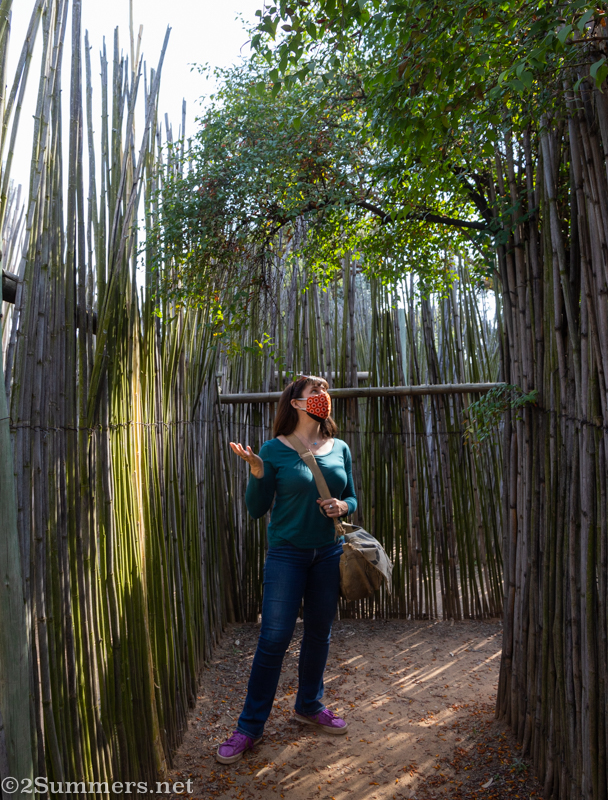 Heather in the maze