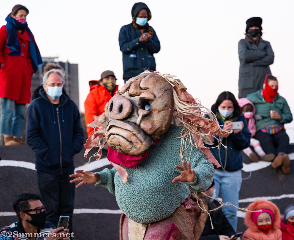 Masked dancer