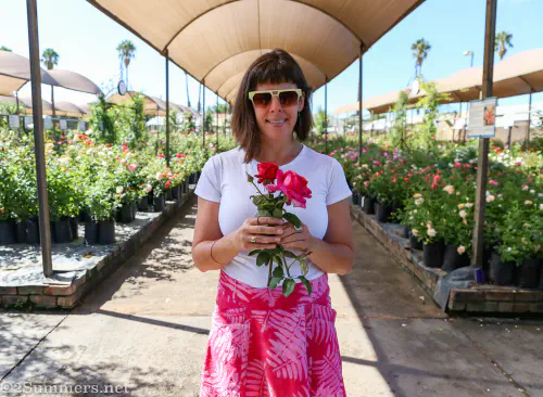 Heather at Ludwig's Roses