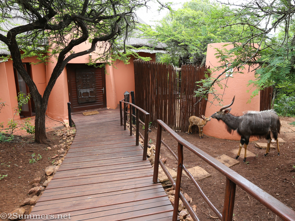 Entrance to my suite at Thanda